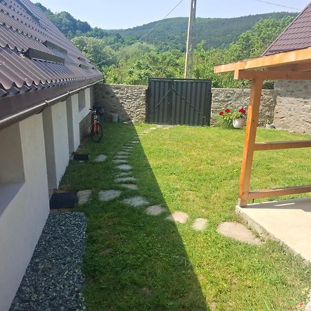 Casa Noua Villa Sasca Montană Eksteriør billede