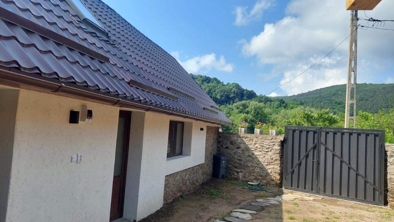 Casa Noua Villa Sasca Montană Eksteriør billede