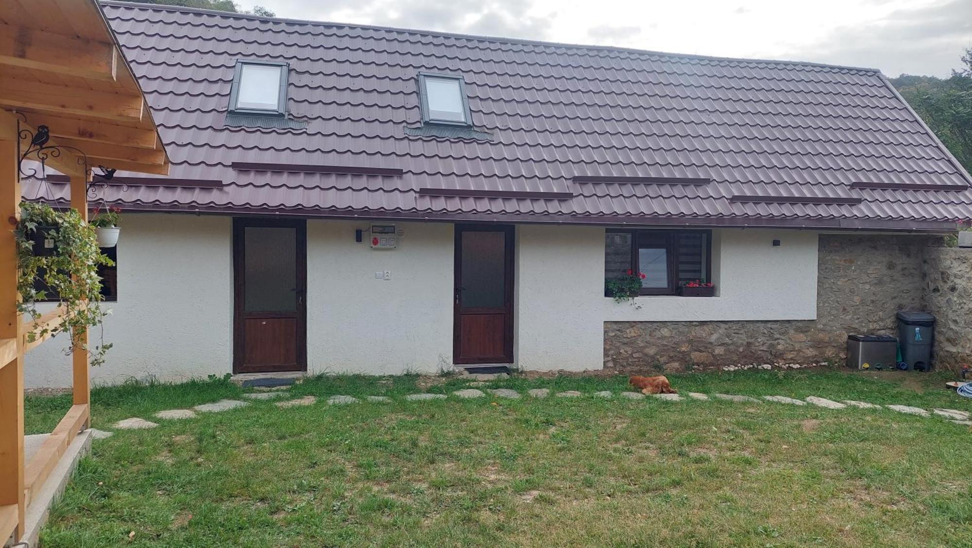 Casa Noua Villa Sasca Montană Eksteriør billede