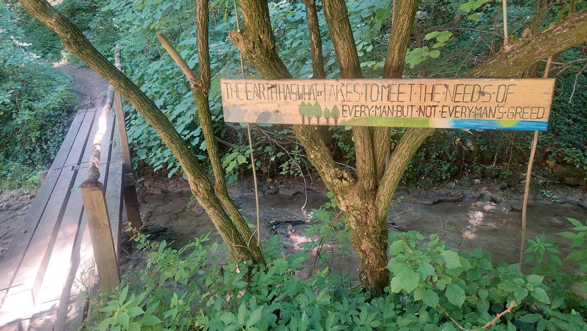 Casa Noua Villa Sasca Montană Eksteriør billede