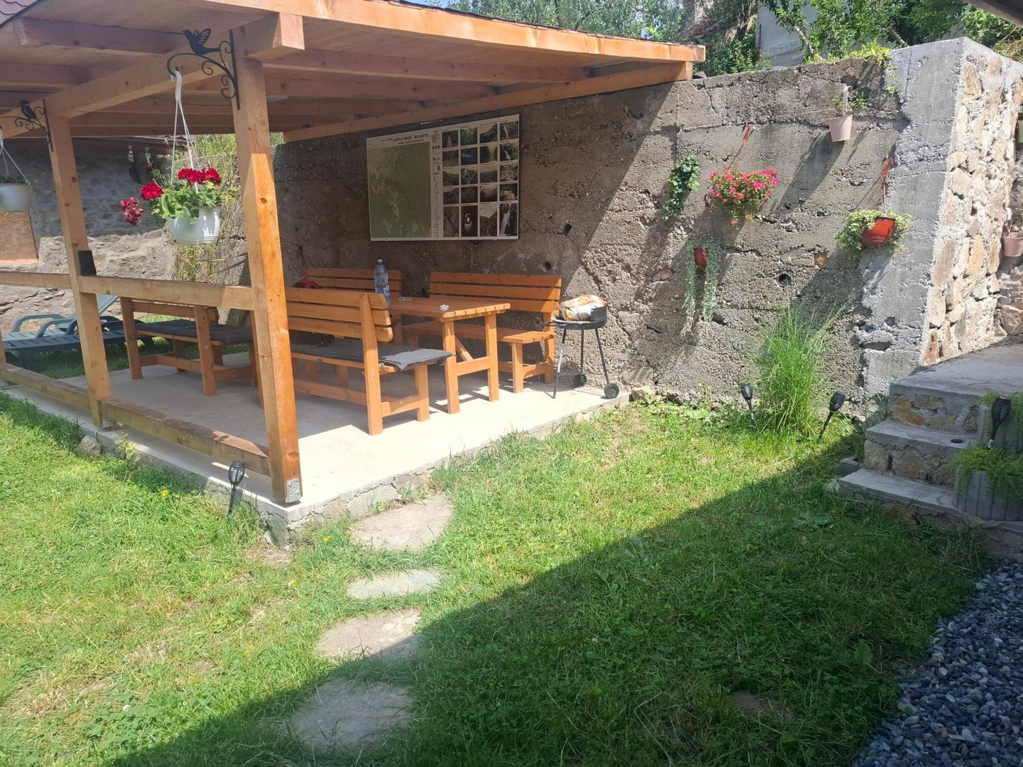 Casa Noua Villa Sasca Montană Eksteriør billede